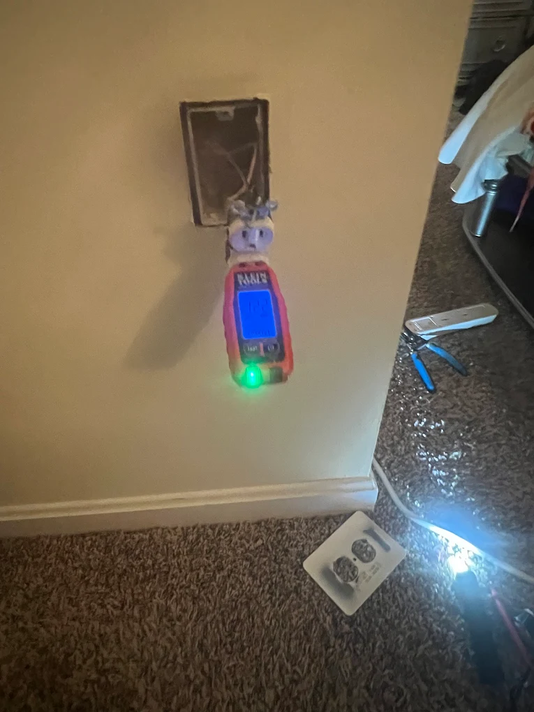 result_electric_image_12 - Copy